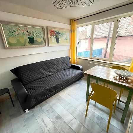 Art Apartments Govora Cluj Экстерьер фото